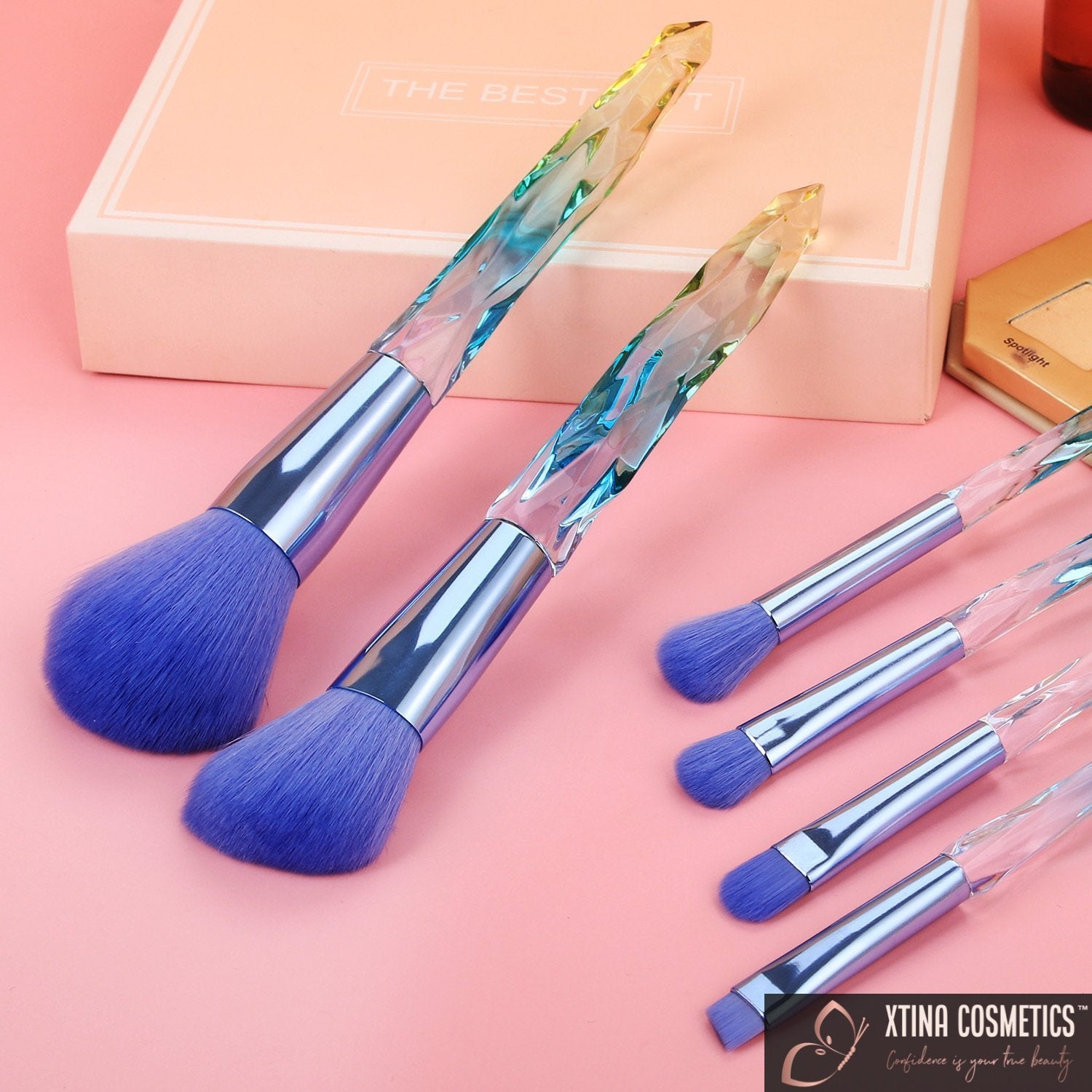 10pc Quartz Makeup brushes Xtina Cosmetics