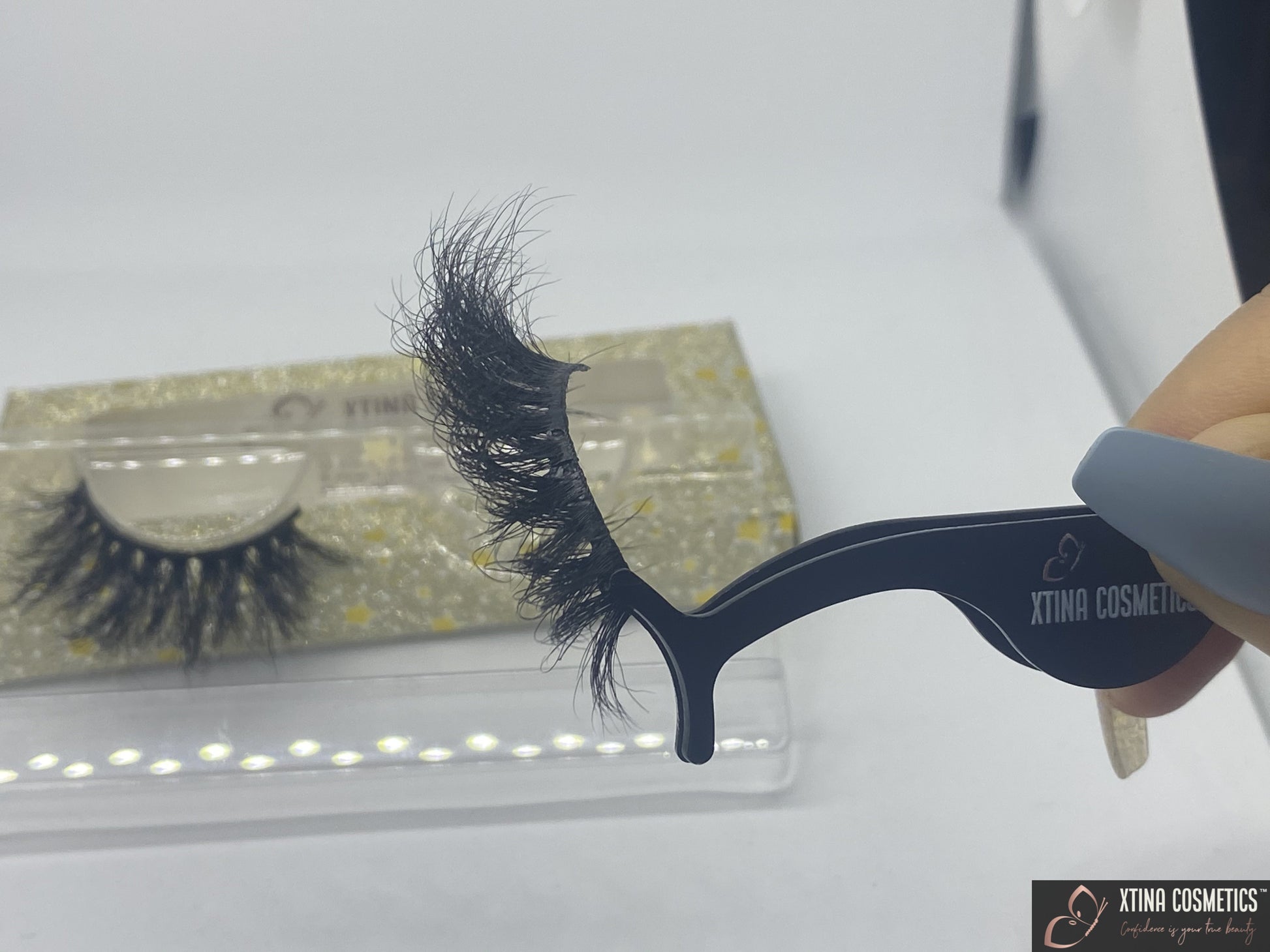 Envy Lash Xtina Cosmetics