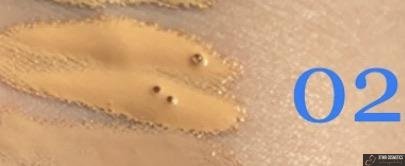 Full Coverage Foundation (30SPF) Sample Xtina Cosmetics